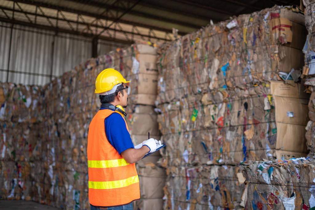 CleanFiber ingin mengubah jutaan tan kad boks menjadi penyerapan